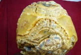 獨(dú)占鰲頭（銀獎(jiǎng)）