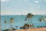 蘇天賜 油畫(huà)風(fēng)景