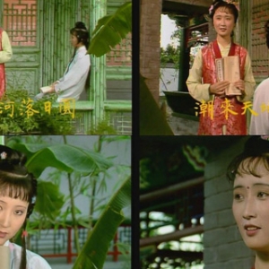 程相占：好老師當(dāng)如林黛玉