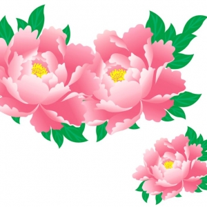 唯有牡丹真國(guó)色，為洛陽(yáng)牡丹而狂歡