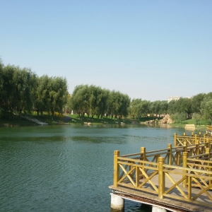 公園，是花園更似家園