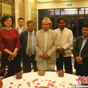 中國茶文化做客尼泊爾