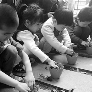 杭州市府幼兒園樂享農(nóng)耕文化園開園啦！