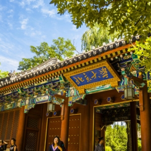 北京大學(xué)藝術(shù)學(xué)院