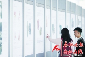 《漢字》巡展 展現(xiàn)漢字文化精華