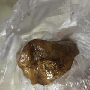 滬一女子稱羅森肉粽裹蟑螂 已在此買早飯一年