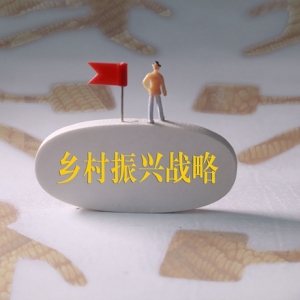“費孝通田野調(diào)查獎”特別主題：春節(jié)返鄉(xiāng)調(diào)查