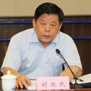 胡振民
