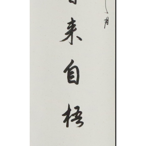 周萍
