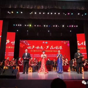 唱響青春、創(chuàng)享幸?！獤|方惠樂2018知青春節(jié)聯(lián)歡會在滬盛大召開