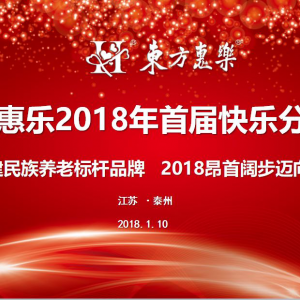 構(gòu)建民族養(yǎng)老標(biāo)桿品牌 ____打造國家名片走向世界——東方惠樂2018年首屆社區(qū)運(yùn)營培訓(xùn)工作會議召開