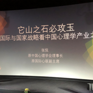 北京國奧心理醫(yī)院董事長趙豐于桐參加2018中國心理產(chǎn)業(yè)博覽會