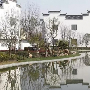 家門口的古徽州你竟不知道？快去打卡上海這座粉墻黛瓦的社區(qū)公園