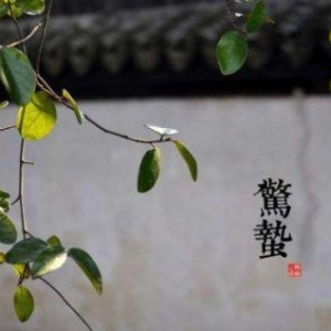 申城今日雨止迎“驚蟄” 未來陰雨轉(zhuǎn)換仍頻繁