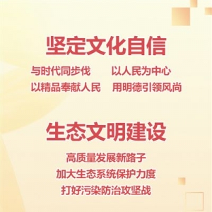 習(xí)近平總書記兩會(huì)金句