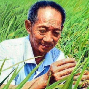 采訪袁隆平