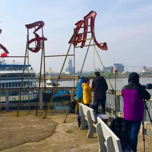 攝影 | 上海生態(tài)攝影師與長江淡水豚類之約
