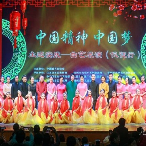 “中國(guó)精神·中國(guó)夢(mèng)”主題實(shí)踐——優(yōu)秀曲藝展示