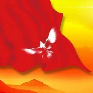 黨旗引領(lǐng)珞巴族百姓走上致富路