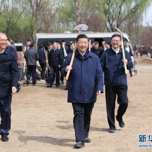 黨和國家領(lǐng)導(dǎo)人參加首都義務(wù)植樹活動(dòng)