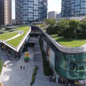 上海越來越多建筑開始“頭上長草”，立體綠化到底燒不燒錢？
