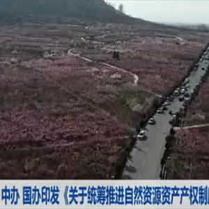 中辦國辦印發(fā)指導(dǎo)意見統(tǒng)籌推進(jìn)自然資源資產(chǎn)產(chǎn)權(quán)制度改革