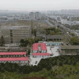 60多歲以色列老校長，為何選擇到上海創(chuàng)業(yè)，第一家公司要開在（上海）創(chuàng)新園
