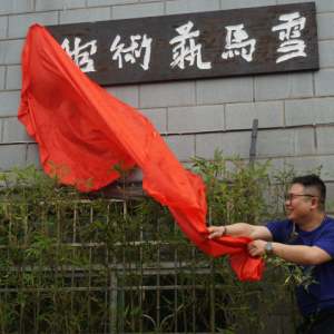 雪馬藝術(shù)館在長沙舉行揭牌儀式