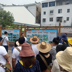 新疆博州年輕干部培訓(xùn)班赴湖北宜昌市許家沖村開展黨性教育活動