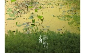 大暑 （二十四節(jié)氣之一）