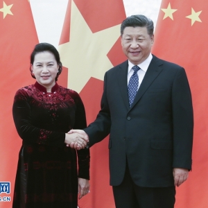 習近平會見越南國會主席阮氏金銀