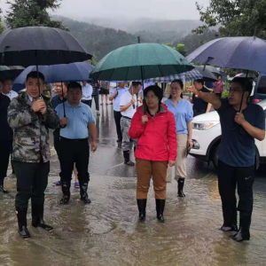 臨江仙：治水初見成效