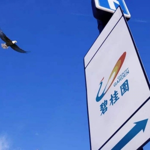 世界500強最新排名：碧桂園躍升176位 成上升幅度最大企業(yè)