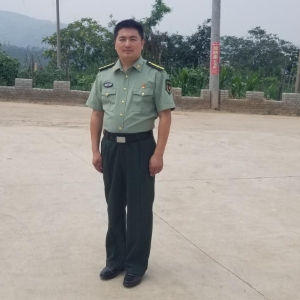 楊偉