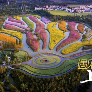 1972年6月18日，在金山衛(wèi)海灘，數(shù)十萬民工參與了圍海造田……