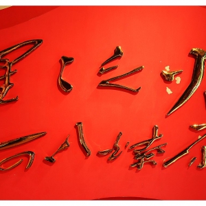 《星火燎原》精選本圖書(shū)引發(fā)強(qiáng)烈反響—— 紅色精神閃耀新的時(shí)代光芒