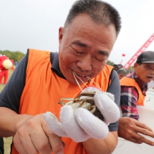 2019年上海寶山湖長(zhǎng)江蟹品鮮節(jié)開(kāi)幕，“蟹王蟹后”花落誰(shuí)家？