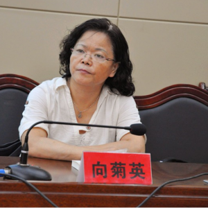 向菊瑛