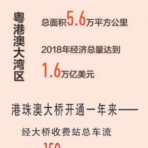 共建國(guó)際一流灣區(qū)（壯麗70年 奮斗新時(shí)代·區(qū)域協(xié)調(diào)發(fā)展新格局）