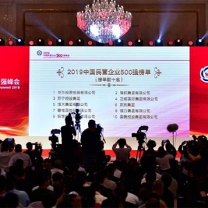 走向更加廣闊的舞臺(tái)——寫在民營企業(yè)座談會(huì)召開一周年之際