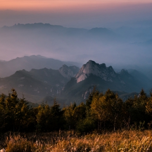 不知怎的，我又想起了霧靈山上的花草