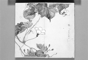 “中國風(fēng)”與日本江戶詩經(jīng)學(xué)