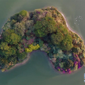 福建漳州：生態(tài)碧湖鳥翩飛