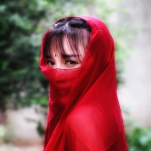 李子柒爆紅爭(zhēng)議：DJ、富二代、幕后團(tuán)隊(duì)與全商業(yè)版圖
