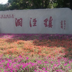 【志愿先行】松江區(qū)洞涇鎮(zhèn)平安英雄傾情傾力“出戰(zhàn)”疫情防控