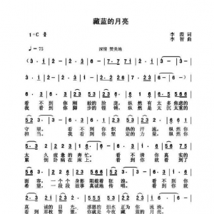 戰(zhàn)疫情|《藏藍(lán)的月亮》MV向奮戰(zhàn)在抗疫一線的人民警察致敬！