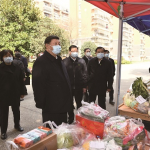 習近平在湖北省考察新冠肺炎疫情防控工作