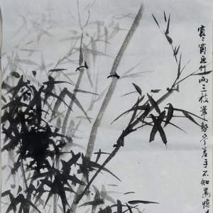 戰(zhàn)疫情：寒江作品