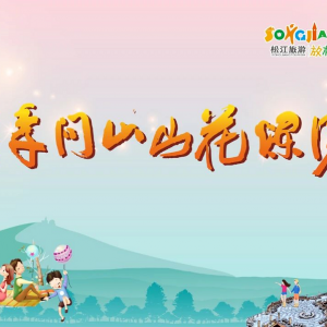 清明踏青好去處|上海月湖雕塑公園