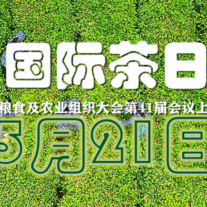 國(guó)家主席習(xí)近平向“國(guó)際茶日”系列活動(dòng)致信表示熱烈祝賀